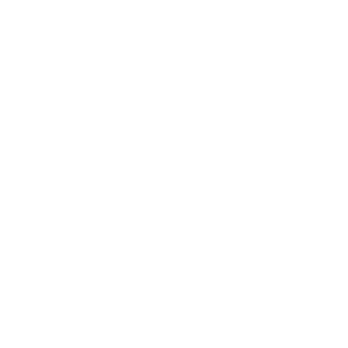 ear-plug-icon